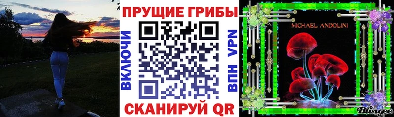 Псилоцибиновые грибы Psilocybe  Болохово 